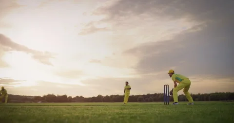 Cricket Batsman Blue Team Stock Footage 256026580