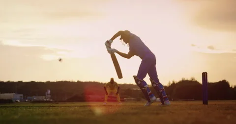 Cricket Batsman Blue Team Stock Footage 256026672