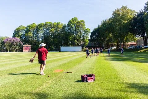 Cricket Batsmen Practice Netts Foto stock