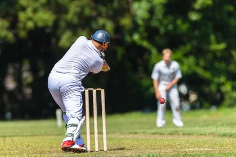 Cricket Batting Action Stock Photos