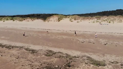 Cricket on the beach Vidéo 122951554