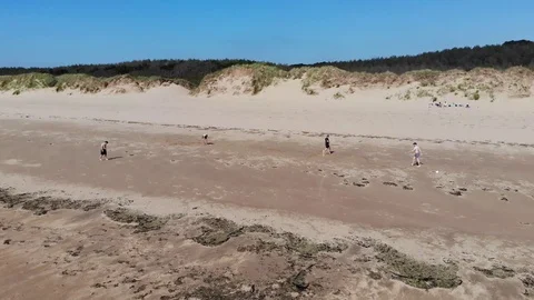 Cricket on the beach RAW Vidéo 122951403