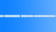 Cricket Chirping loop 2Sound Effect