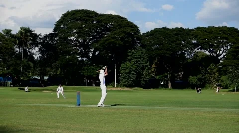 Cricket Dismissal Stock Footage 43250053