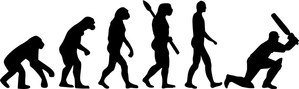 Cricket Evolution Illustrazione stock