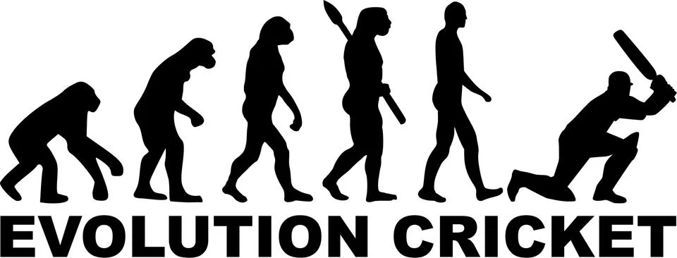 Cricket Evolution 스톡 일러스트