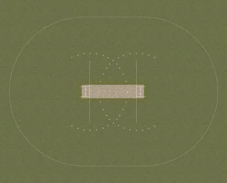 Cricket field layout Illustrazione stock