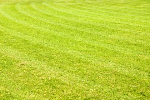 Cricket field Foto stock