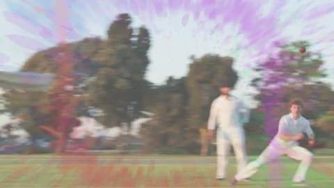 Cricket fielder diving, rolling, reaching, fielding red ball after bat hit, Stock Footage 333154923