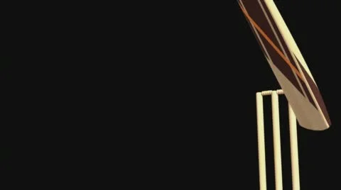 Cricket Fire Ball Stock Footage 66531373