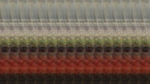 Cricket Stock Footage 121685659