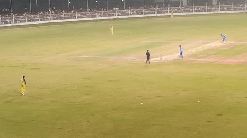 Cricket Stock Footage 121685706