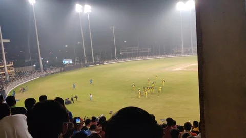 Cricket Stock Footage 121685812