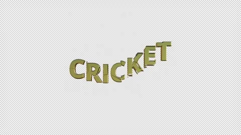CRICKET Stock Footage 307980784