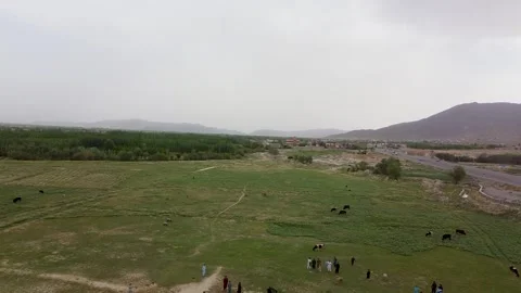 Cricket Ground of Logar Province Stock Footage 274869918