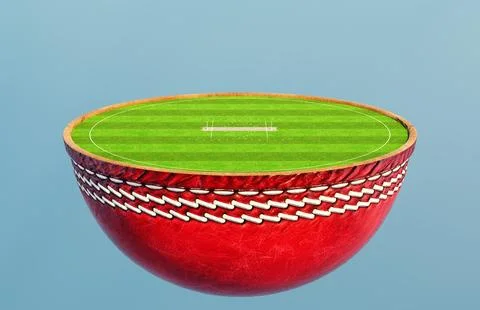 Cricket Half Ball Stadium Concept Stock Illustration