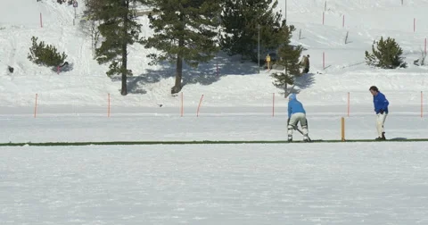 Cricket on ice batting Video stock 62258309
