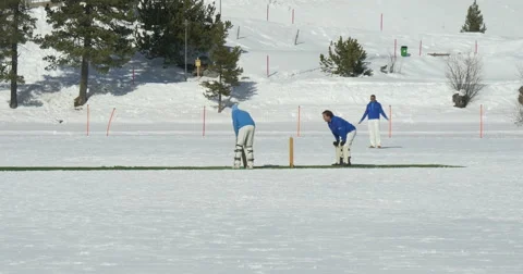 Cricket on ice batting Video stock 62276975