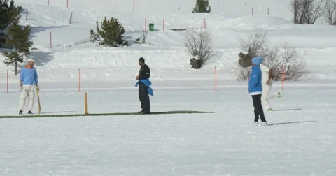 Cricket on ice bowling Видео 62289505