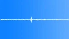Cricket Insect Crickets Cicadas Cicadas Ext Close Up Short Rhythmic Buzzing Rat Sound Effect