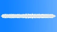 Cricket Insect Crickets Cicadas Crickets Ext Close Up Very Loud Chirping @ Vari Sound Effect