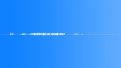 Cricket Insect Crickets Cicadas Crickets Chirping Ext Close Up Single Cricket F Sound Effect