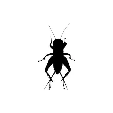Cricket insect icon. Simple style insect science poster background symbol. .. Stock Illustration