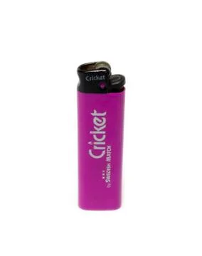Cricket lighter. Stock Photos