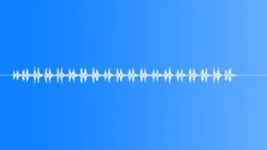 Cricket Loop 02 Sound Effect