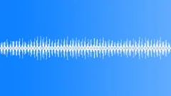 Cricket Loop 03 Sound Effect