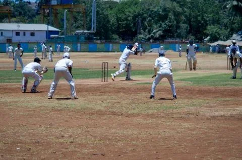 A cricket match Foto stock