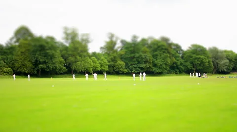 Cricket in the Park. Tilt Shift Timelapse. Video stock 56024374