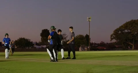 Cricket partners cheering after wicket fall bowler running in bowling hitting Stock Footage 339556686