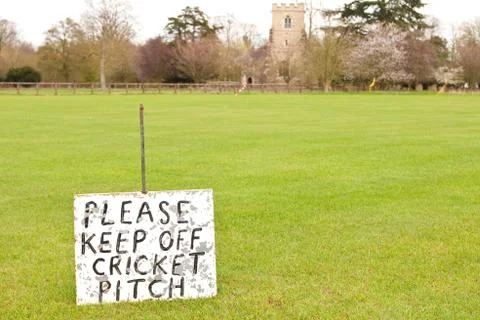 Cricket Stock Photos