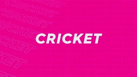 Cricket pink creative promotion program broadcast sport design. Promo title.. Stock Footage 259603135