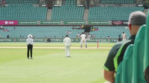 Cricket player appeal for IBW Stock Footage 52336838