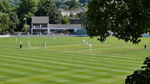 Cricket player Stock Footage 71044130