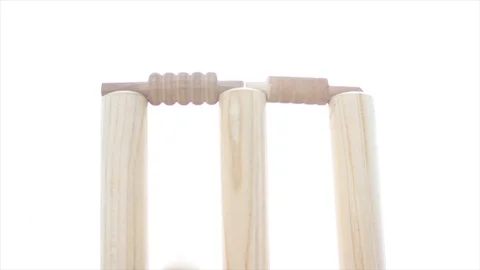 Cricket Player Stock Footage 111774292