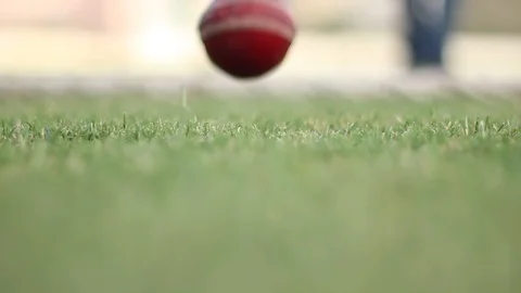 Cricket Player Stock Footage 111774331