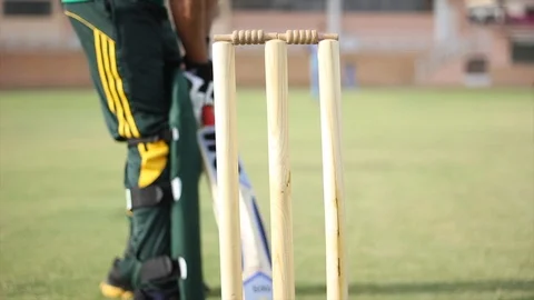Cricket Player Stock Footage 111774385