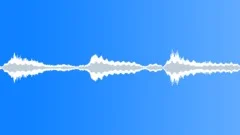 Cricket pulse loop Sound Effect