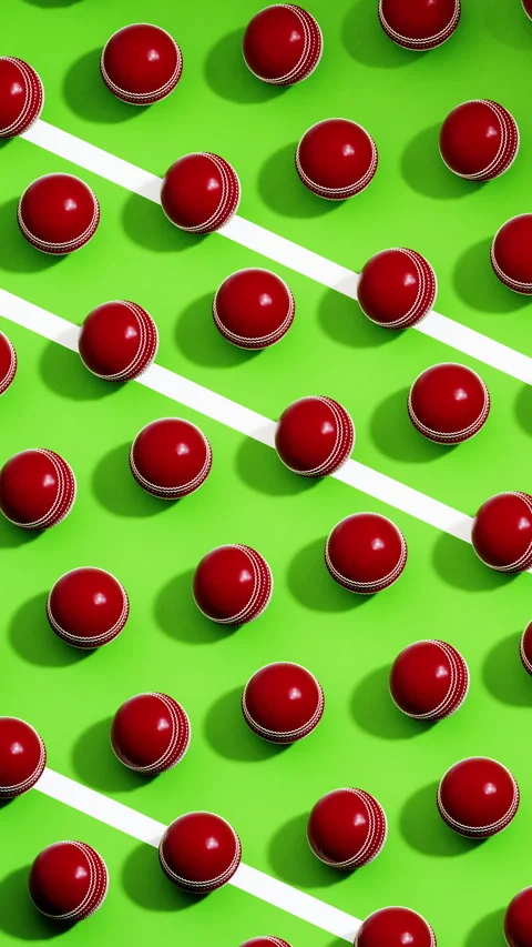 Cricket Seamless Pattern 02 4K Stock Footage 303690681