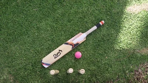 Cricket set Stock Footage 235581470