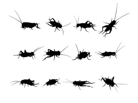 Cricket Silhouette Collection Set Stock Illustration