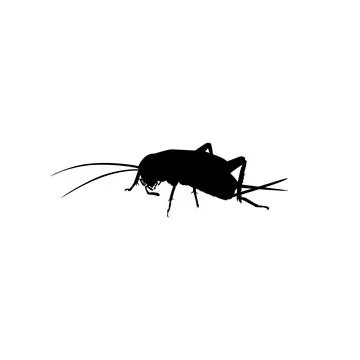Cricket Silhouette Isolated Stock Illustration