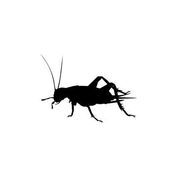 Cricket Silhouette Isolated Stock Illustration