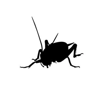 Cricket Silhouette Isolated Stock Illustration