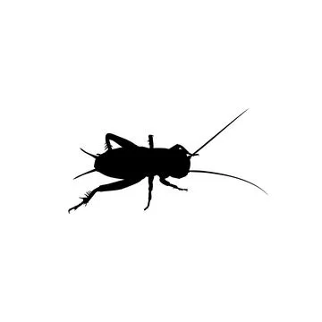 Cricket Silhouette Isolated Stock Illustration