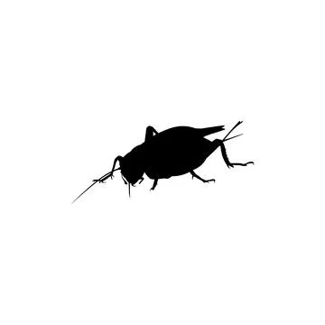 Cricket Silhouette Isolated Stock Illustration