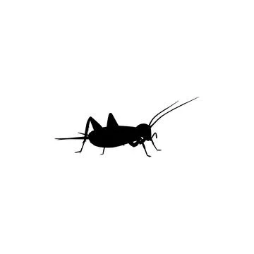 Cricket Silhouette Isolated Stock Illustration